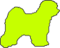 Pet Pursuit